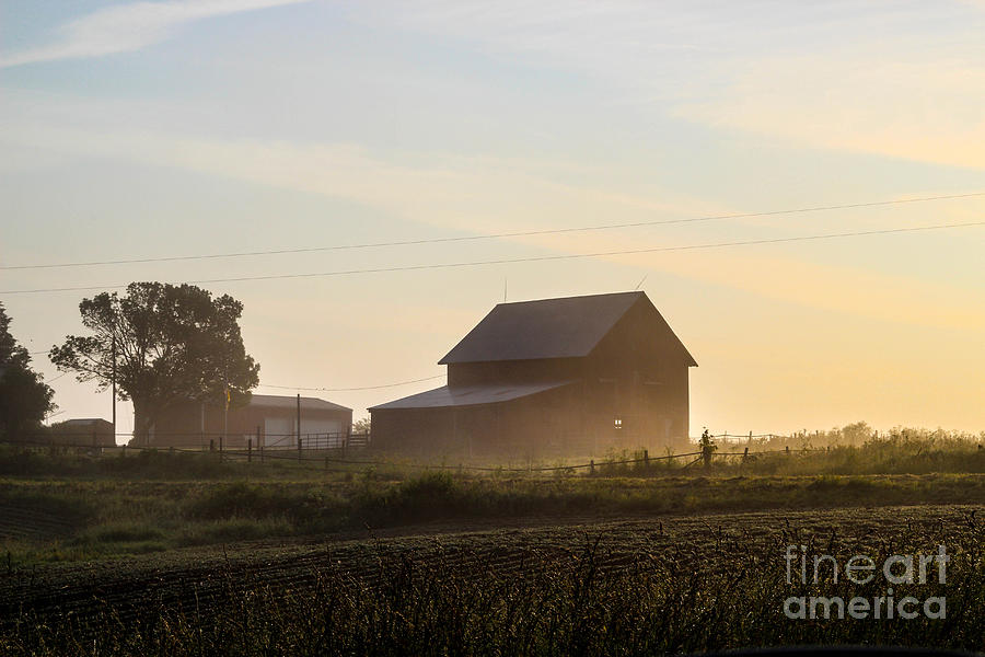 Farm Photograph - Sun Mist Farm by Doug Daniels