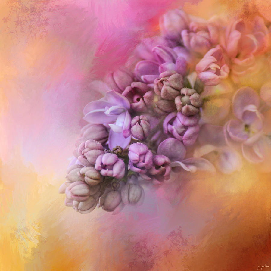 Nature Photograph - Sun On The Lilacs by Jai Johnson