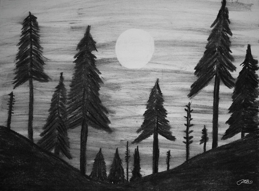 Sun Over Pine Tree Forest Drawing Drawing by Mike M Burke