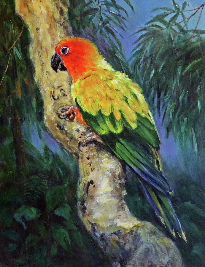Sun Conure Painting - Sun Parakeet by Dan Spangler
