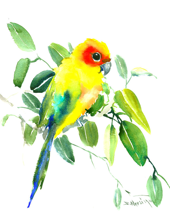 Sun Parakeet Painting by Suren Nersisyan