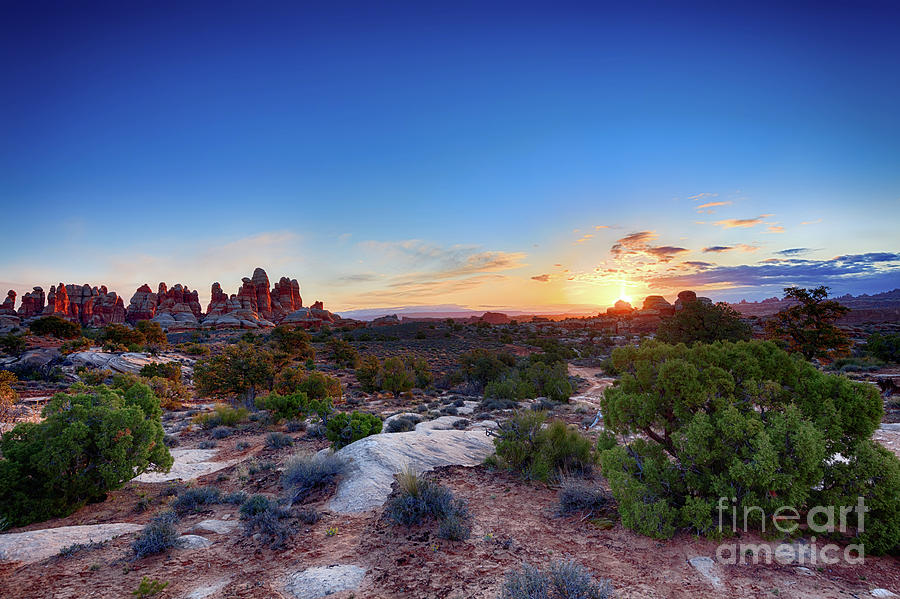 Canyonlands National Park Photograph - Sun Pillar Sunrise by Scotts Scapes