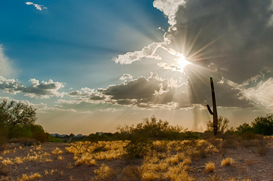 Sun Rays in Tucson Photograph by Dan McManus