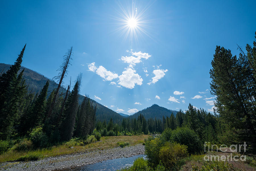 Yellowstone National Park Photograph - Sun Rays in Yellowstone  by Michael Ver Sprill