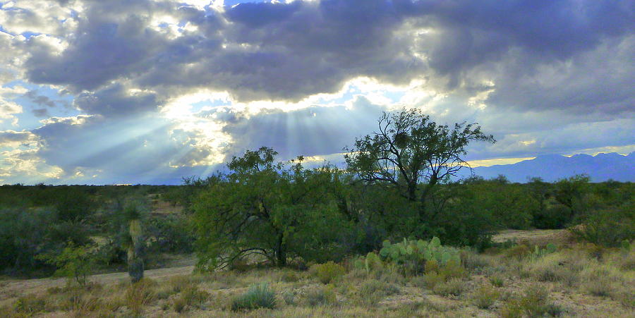 Tucson Photograph - Sun Rays on the Desert Landscape by Teresa Stallings