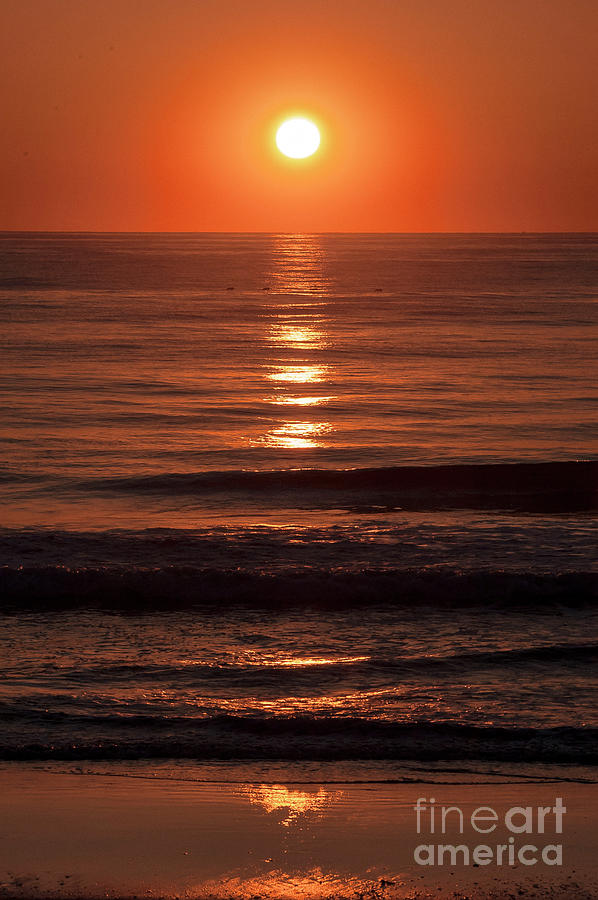 Sun Reflection Photograph by Bob Phillips