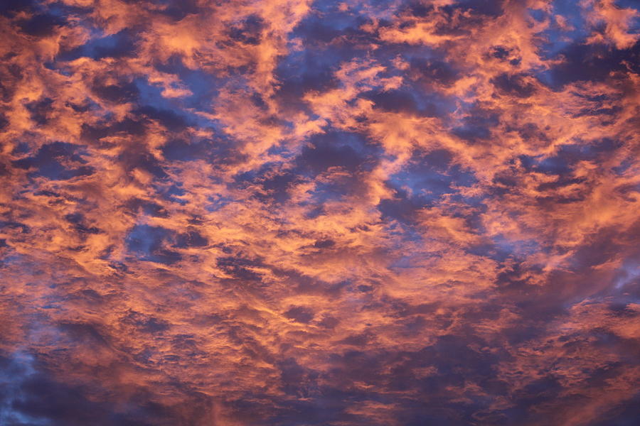 Sun Rise Eastern Sierra Photograph by Douglas Miller