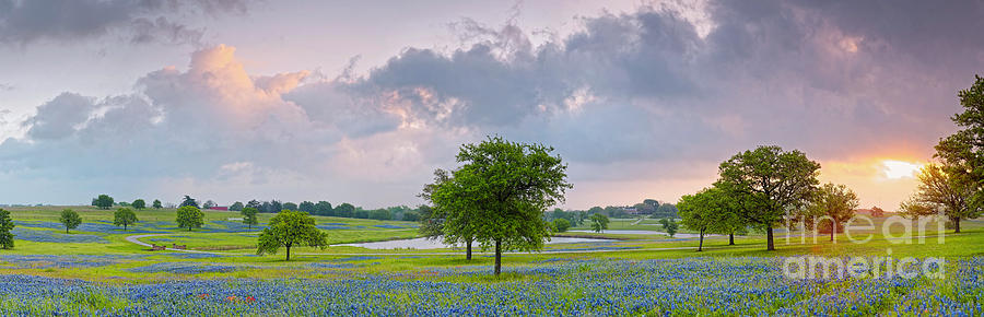 Sun Rising Over a Bluebonnet Field in Chappel Hill - Washington County Brenham Texas Photograph by Silvio Ligutti