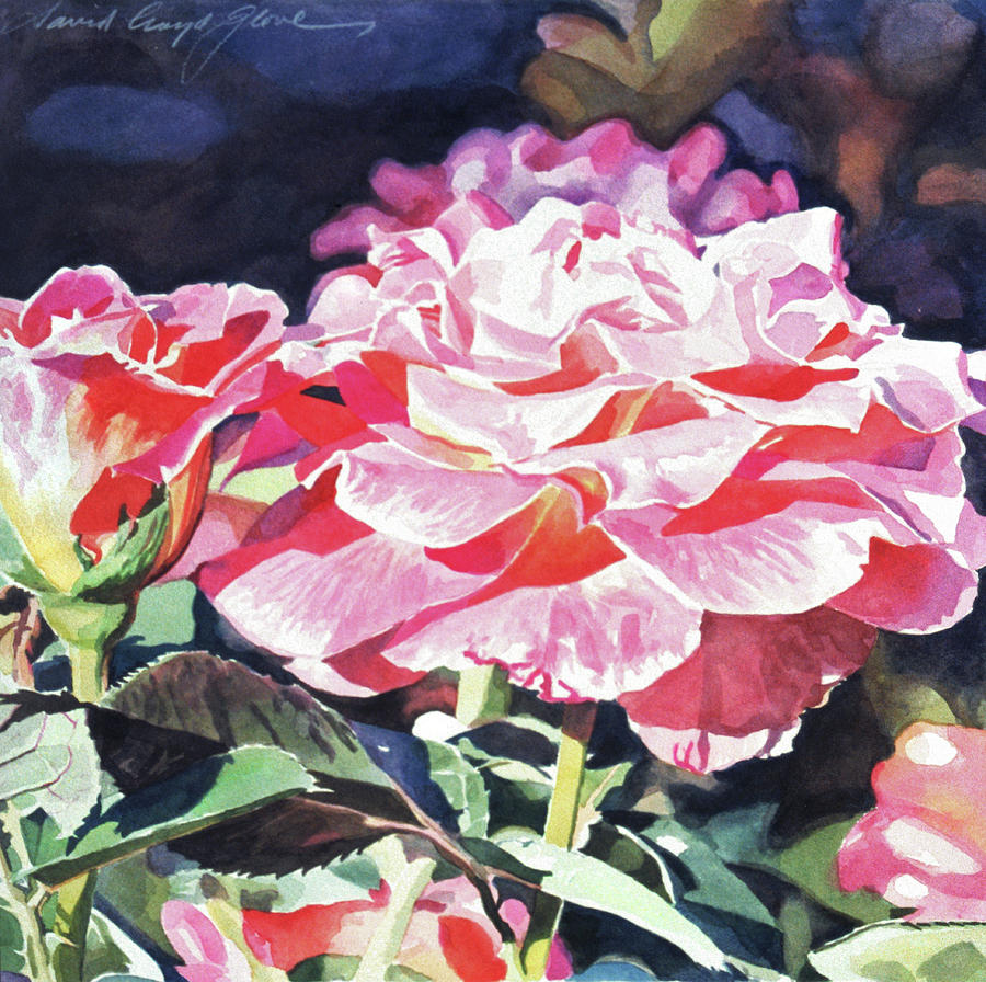 Sun Rose Painting by David Lloyd Glover