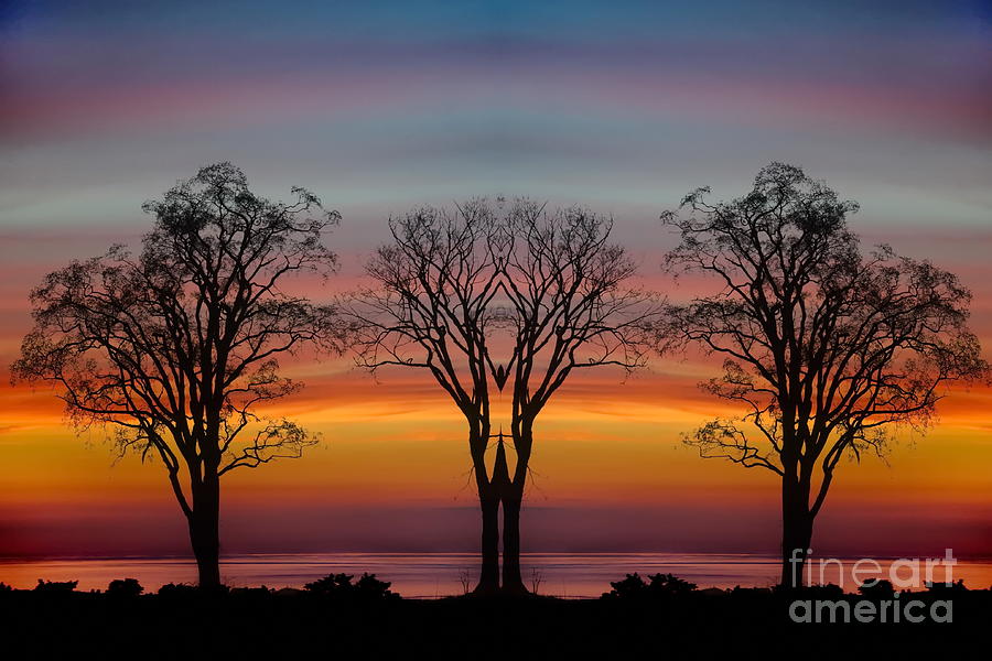 Sunset Photograph - Sun Salutation by Andrea Kollo