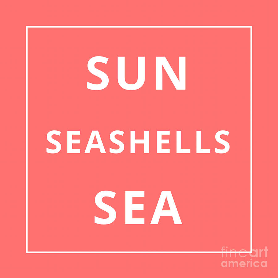 Sun Seashells Sea Digital Art by Carol Riddle