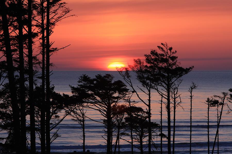 Landscape Photograph - Sun Set by Hieu  Tran