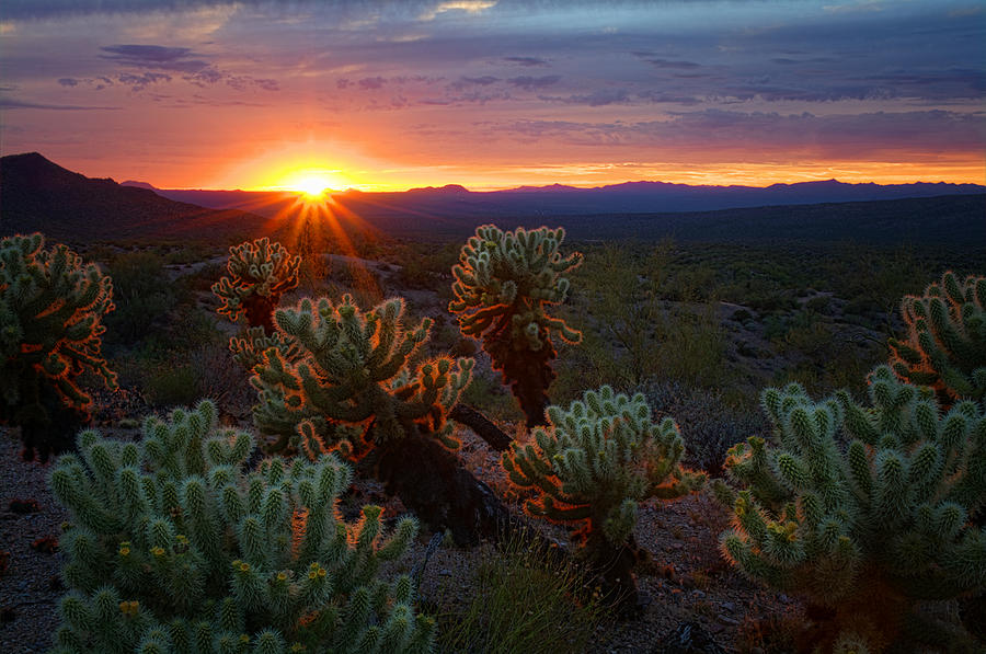 Sunset Photograph - Sun Sets Over The Sonoran  by Saija Lehtonen