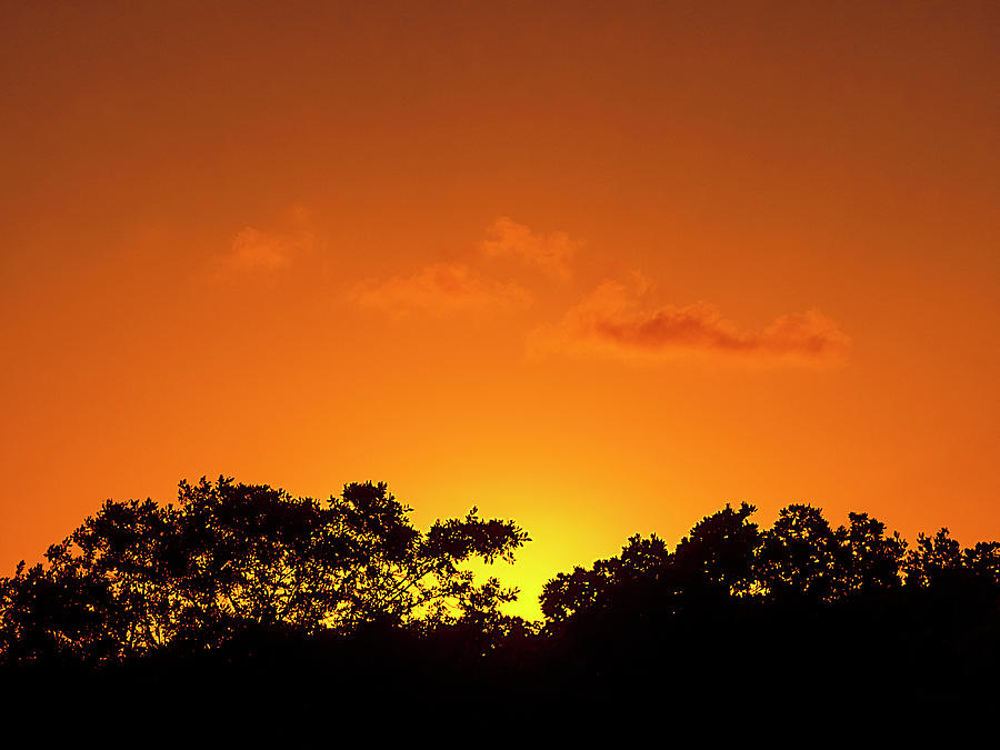 Sun Setting Behind Mangroves in Key West Photograph by Bob Slitzan