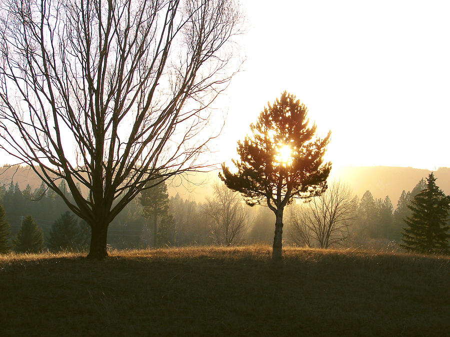 Sun Setting by Joseph Hawkins Sun Setting by Joseph Hawkins