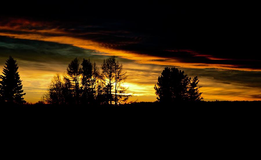 Sun setting November Photograph by Brian Sereda