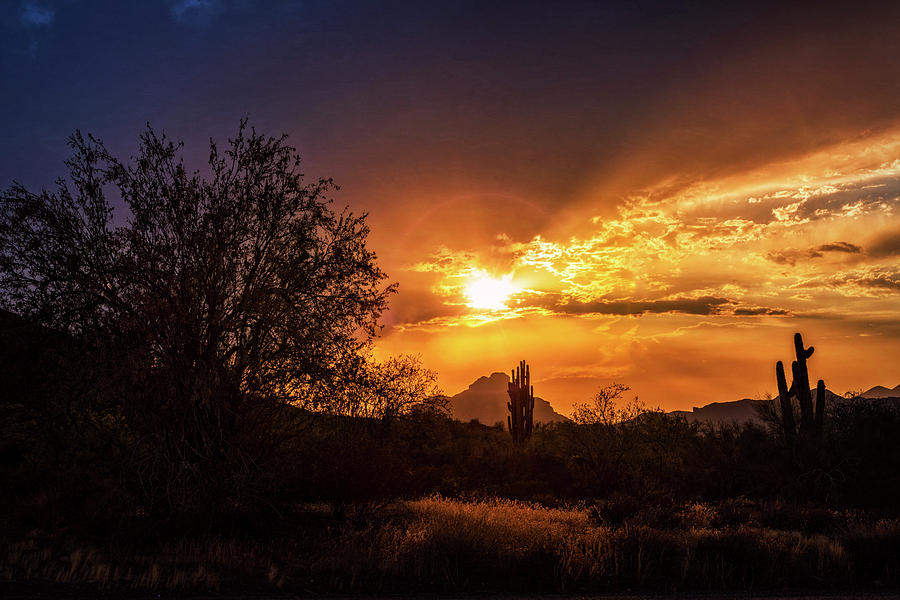 Sunset Photograph - Sun Setting on the Sonoran  by Saija Lehtonen