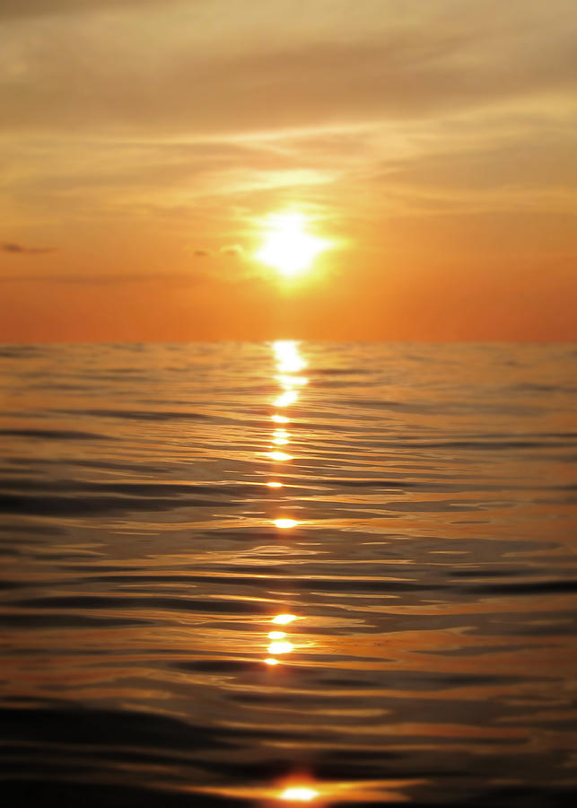 Golden Photograph - Sun setting over calm waters by Nicklas Gustafsson