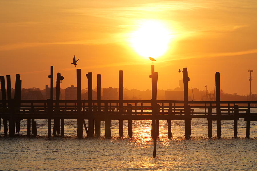 Sun Setting Over Oceanic Fishing Pier Photograph