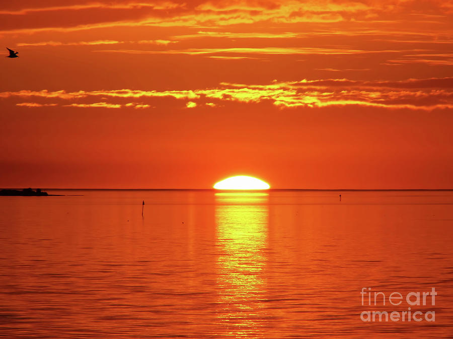 Sunset Photograph - Sun Setting Over The Horizon by D Hackett