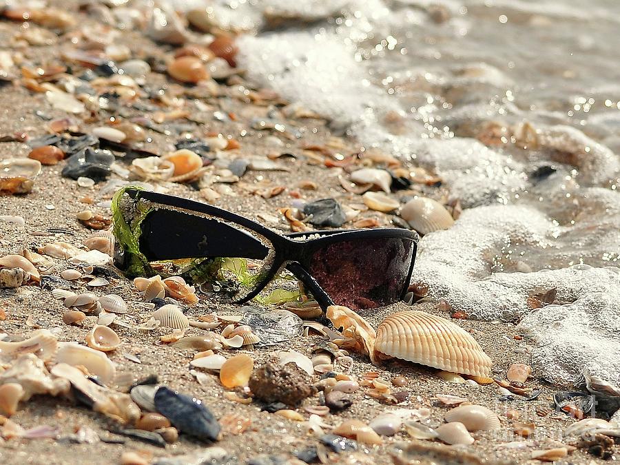 Sun Shades and Sea Shells Photograph by Al Powell Photography USA