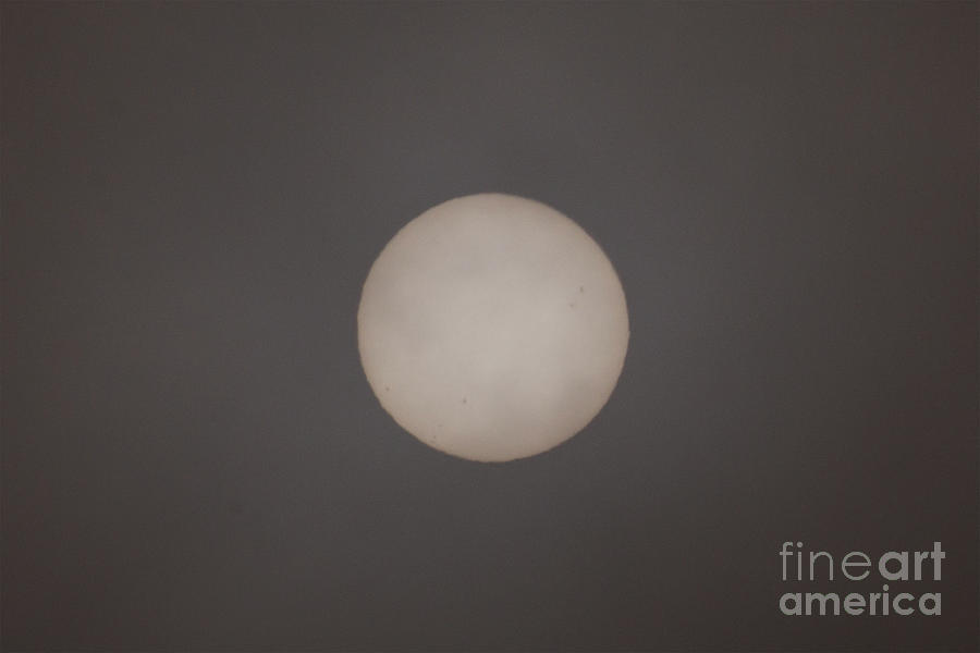 Filter Photograph - Sun Spots by Carolyn Brown