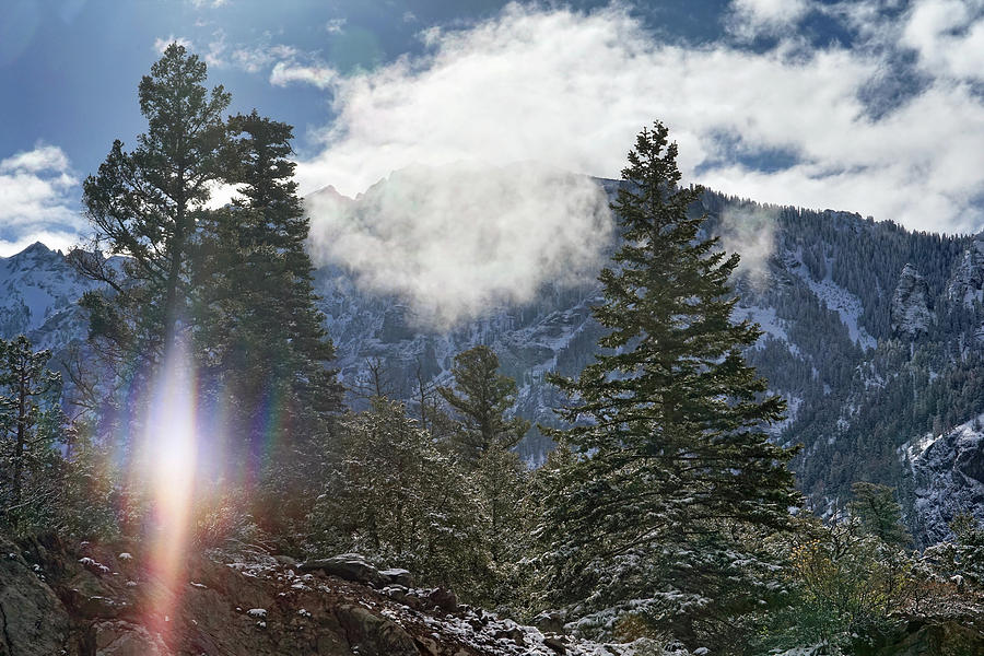 Sun Struck in the Mountains Photograph by Leda Robertson