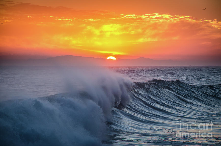 Sunset Photograph - Sun Surf by D White