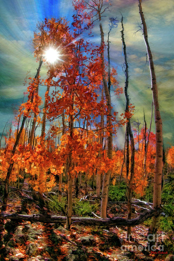 Sun Though Rising Fall Photograph by Blake Richards