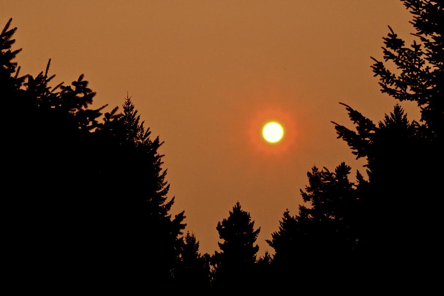 Sun through the Smoke  Photograph by Brian Sereda