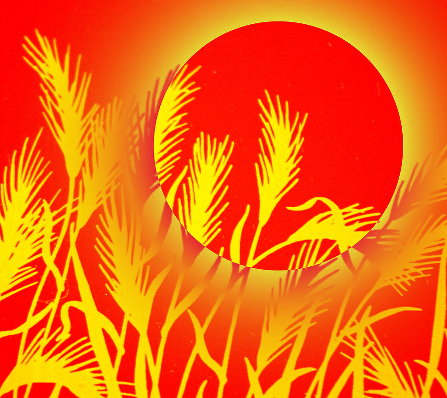 Abstract Digital Art - Sun Wheat by Juana Maria Garcia-Domenech