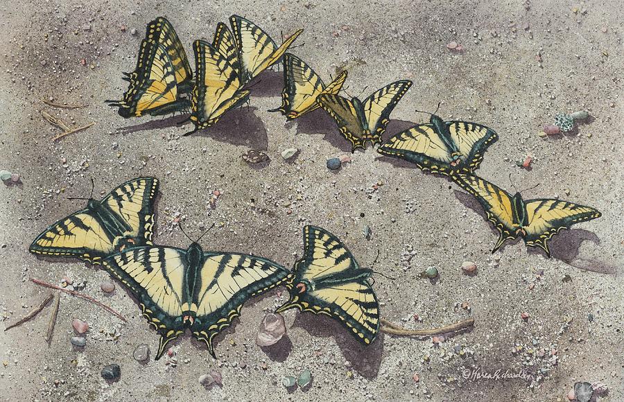Sunbathing Swallowtails by Karen Richardson Sunbathing Swallowtails by Karen Richardson