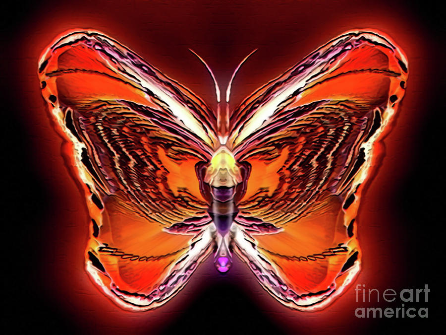 Sunbeam Wildtail Digital Art by Raymel Garcia - Fine Art America