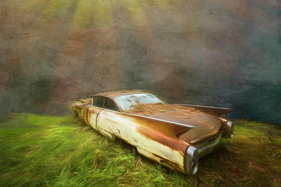Sunbeams on a Classic Cadillac Photograph by Debra and Dave Vanderlaan