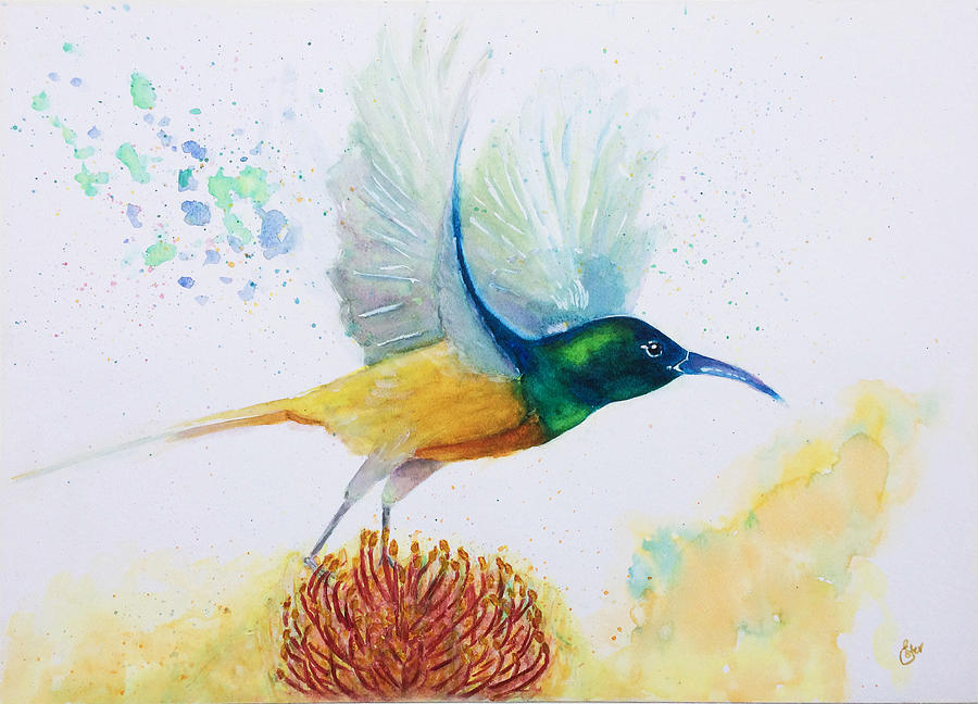 sunbird painting