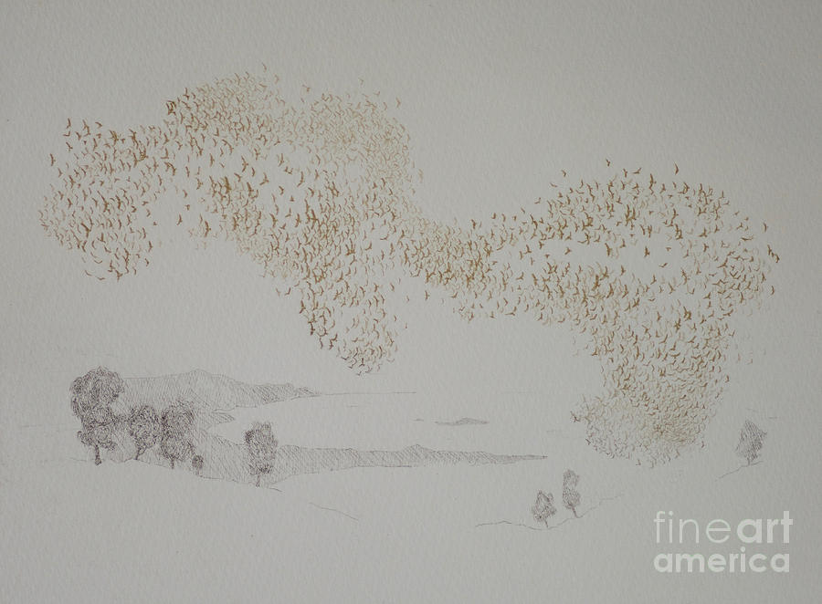Sunbirds Painting by Angus Hampel