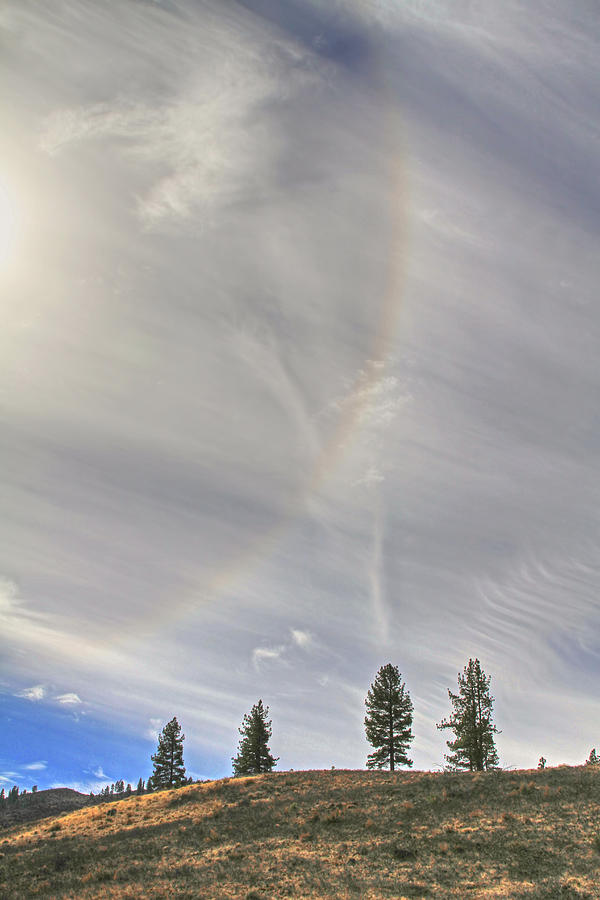 Nature Photograph - SunBow by Donna Kennedy