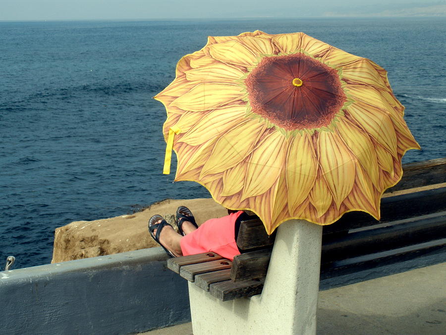 Sunflower Photograph - Sunbrella by Richard Mansfield