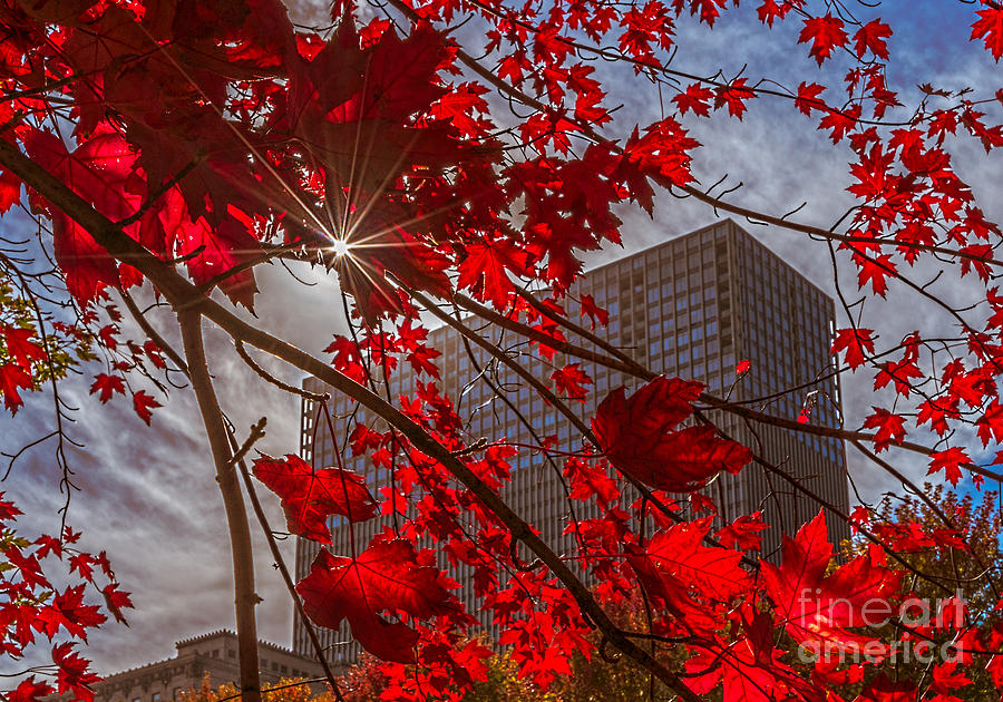 Sunburst at autumn Photograph by Izet Kapetanovic