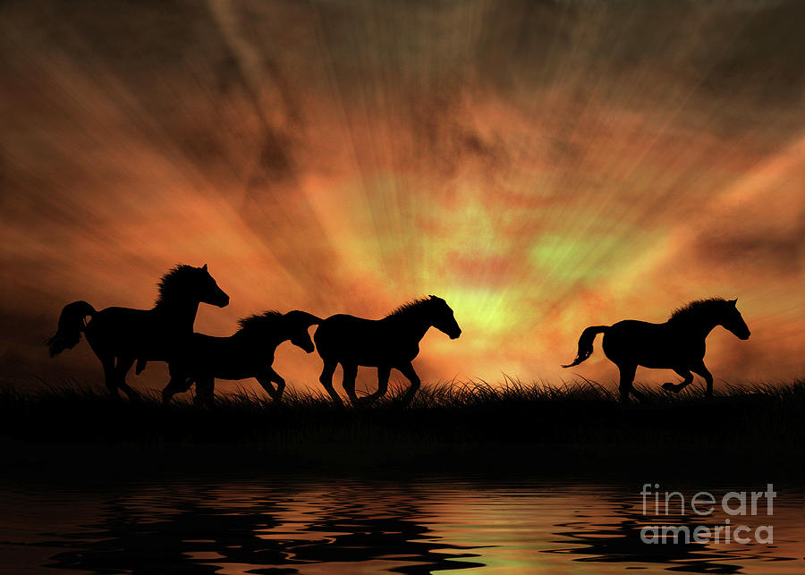 Sunburst, Herd of Wild Horses Photograph by Stephanie Laird