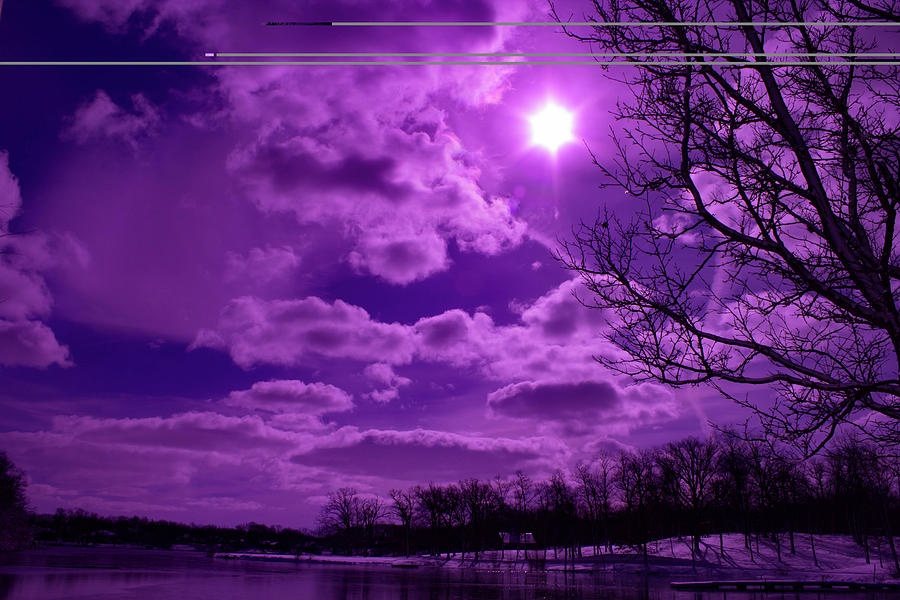 Tree Photograph - Sunburst in Violet by By Way of Karma