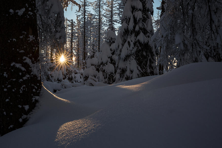 Sunburst in winter fairytale forest Harz Photograph by Andreas Levi