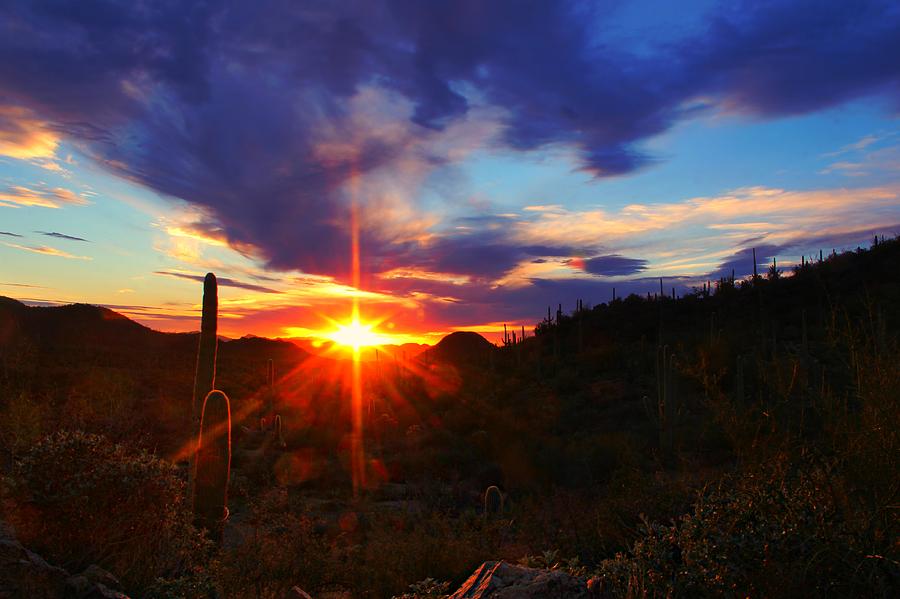 Sunburst by Kimmi Craig Sunburst by Kimmi Craig