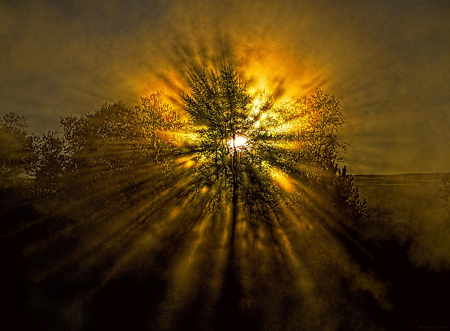 Sunburst Photograph by Marty Saccone