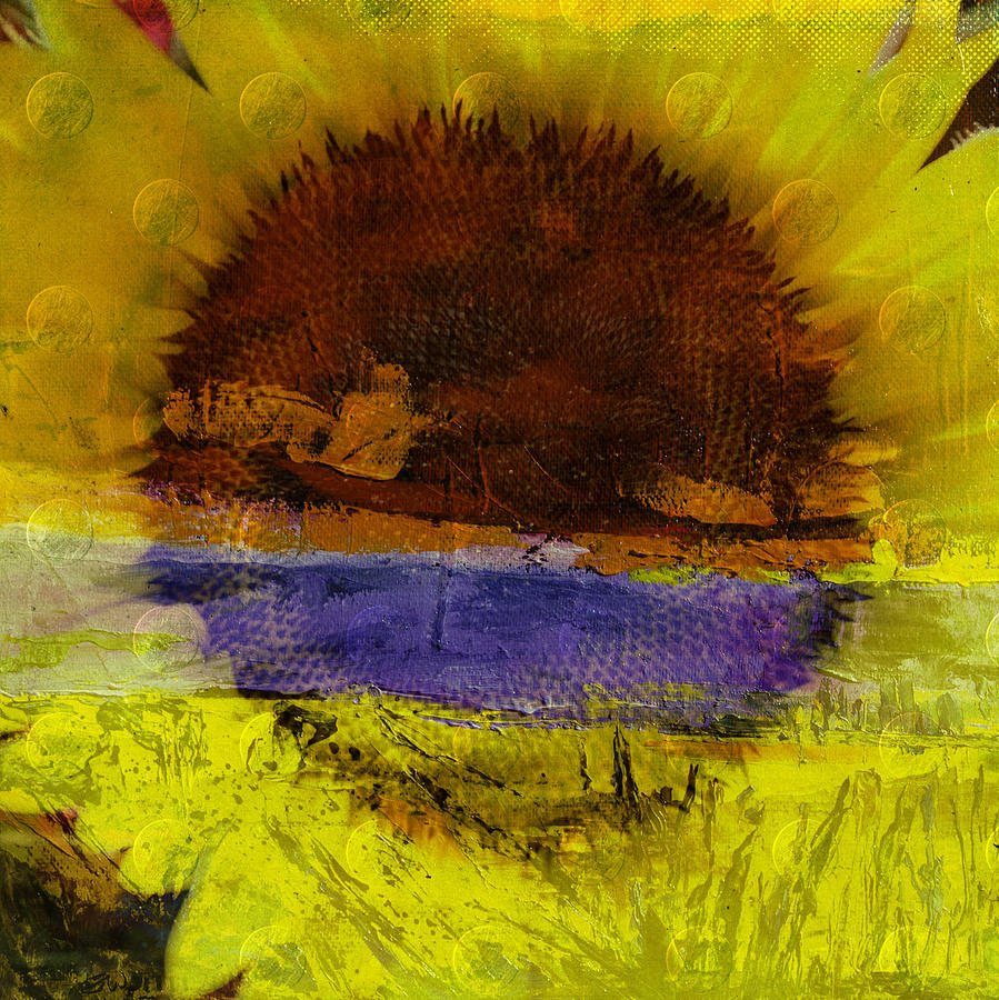 Sunburst Digital Art by Mary Hahn Ward