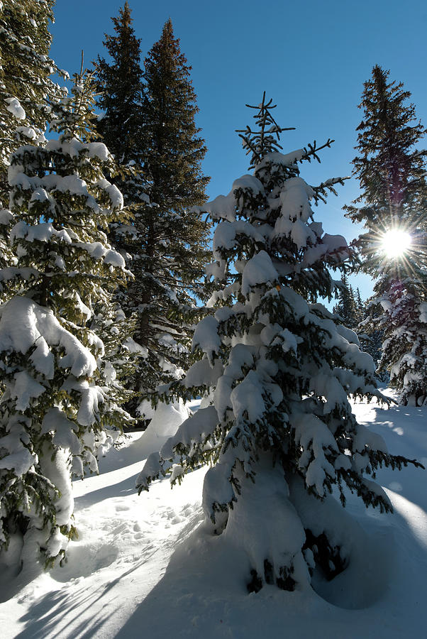 Sunburst on Christmas Eve Morning at Rabbit Ears Pass Photograph by ...