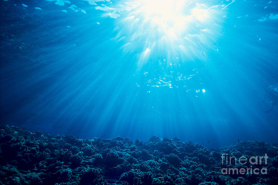 Sunburst Over Shallow Ree Photograph by Dave Fleetham - Printscapes