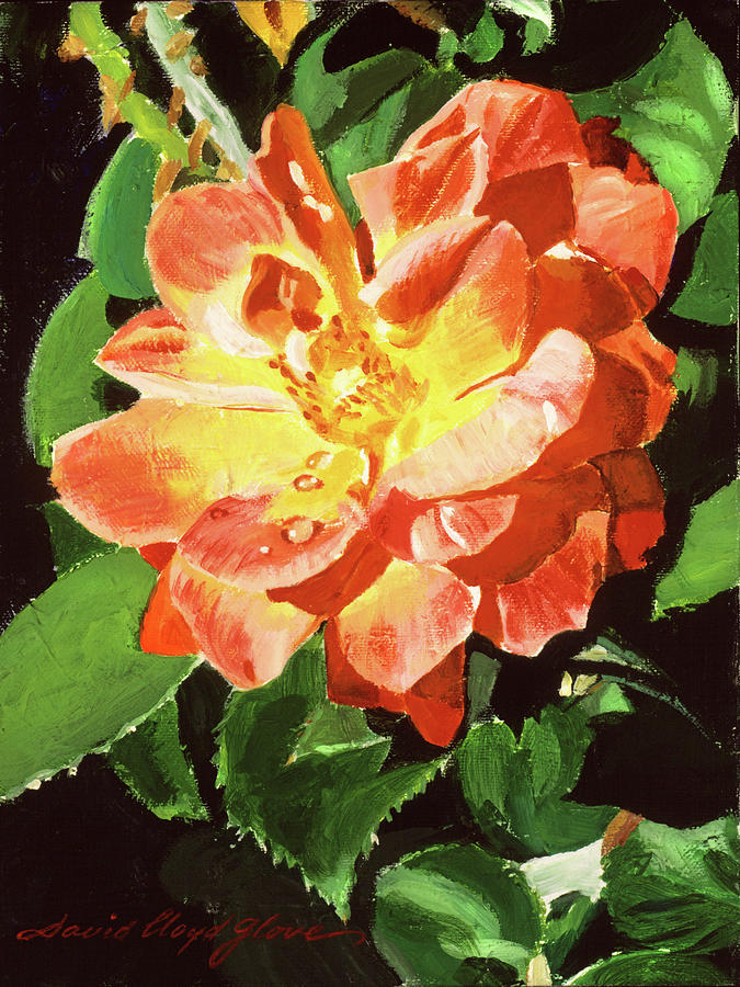 Nature Painting - Sunburst Rose by David Lloyd Glover