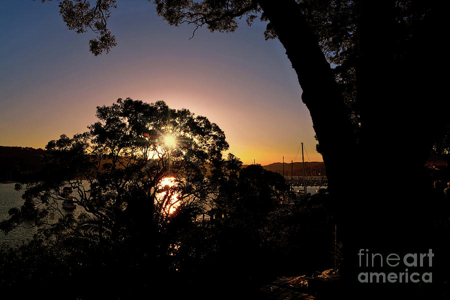 Sunset Photograph - Sunburst Silhouette by Kaye Menner by Kaye Menner