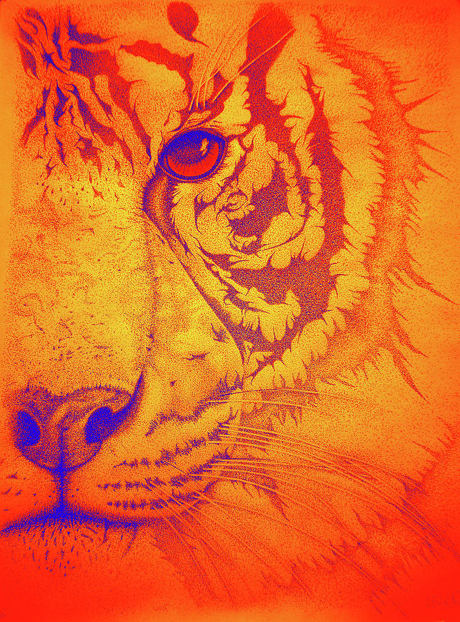 Sunburst tiger Drawing by Mayhem Mediums